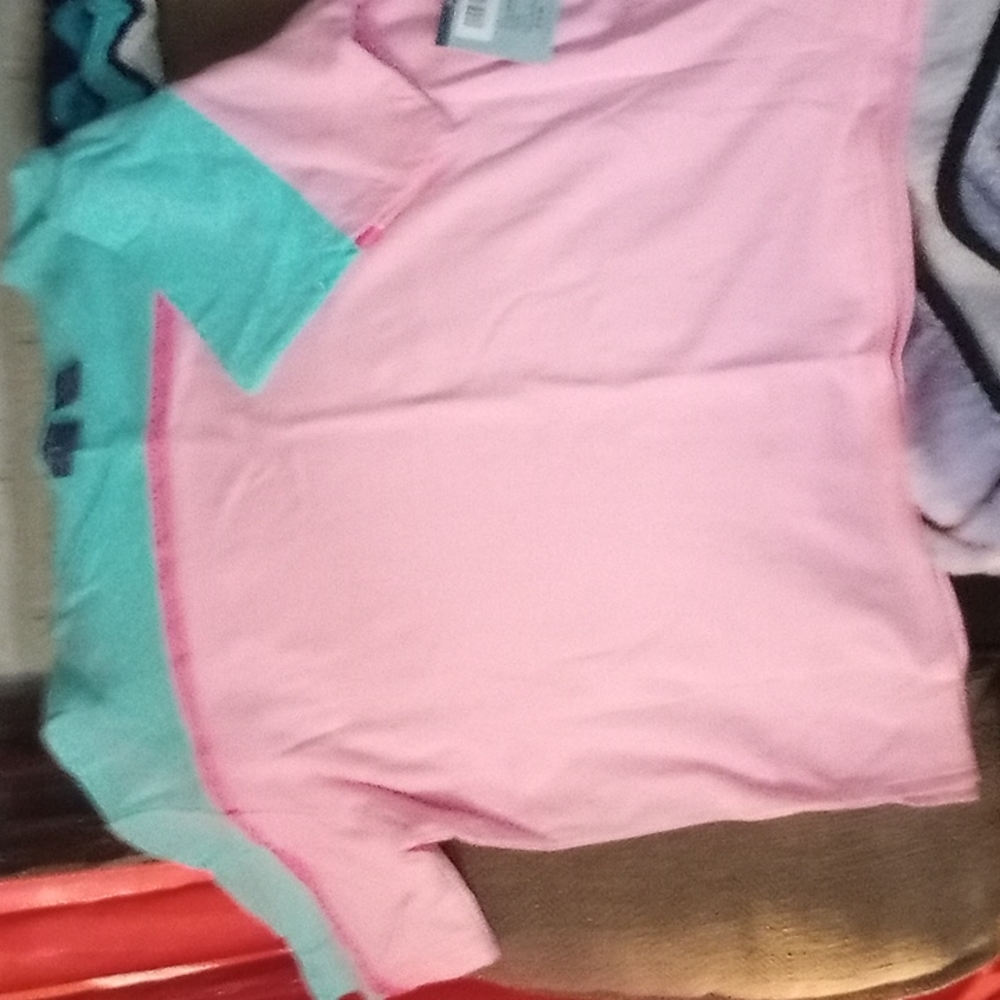 Bundle 2 for $20 NWT  XLP Mountain Lake green and pink short sleeve top
